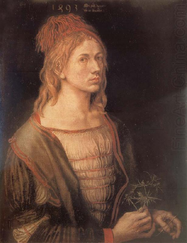Albrecht Durer Self-Portrait with sea holly china oil painting image